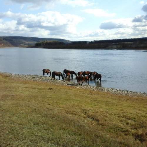 Photo #2369388