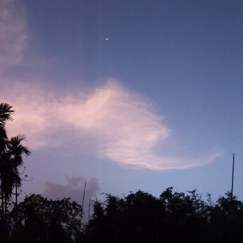 Ornamented Sky After Rain