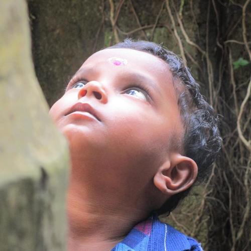 Observation