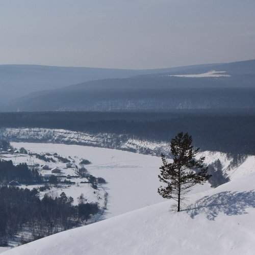 Photo #2372958