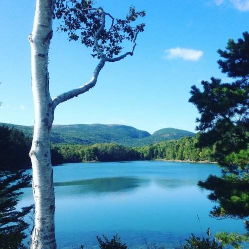 Acadia national park
