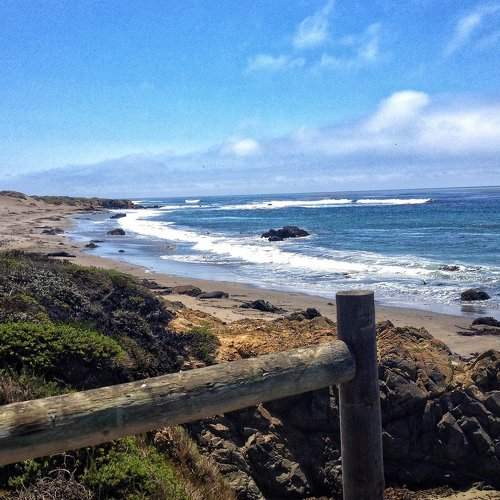 California dreamin