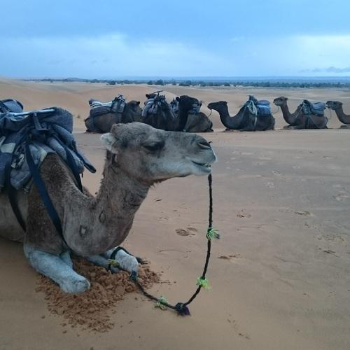 Photo #2375111
