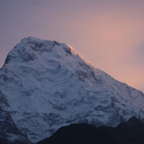golden Himalayas