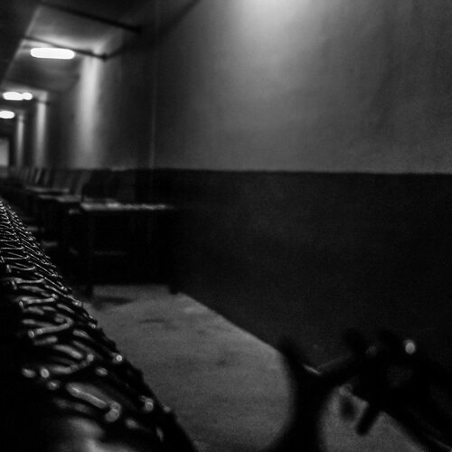 Photo #2377729