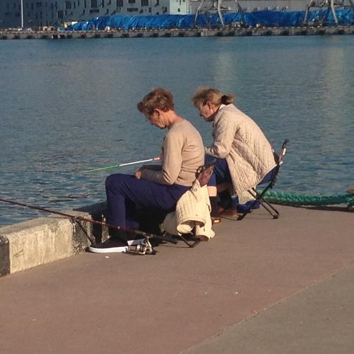 Photo #2379107