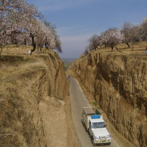 Spring in Kashmir