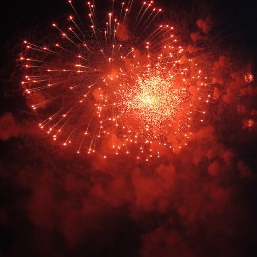 Photo #2380960