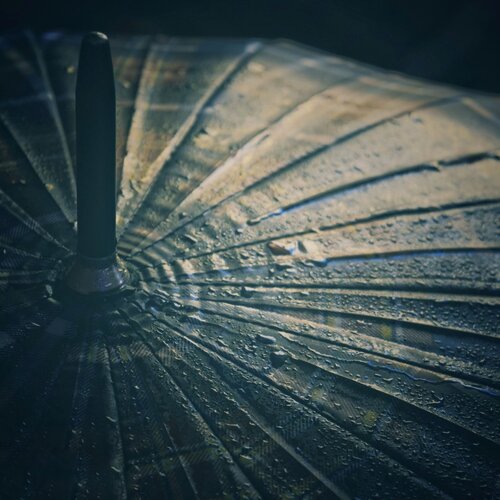 Umbrella