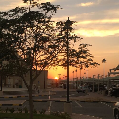 Sun set