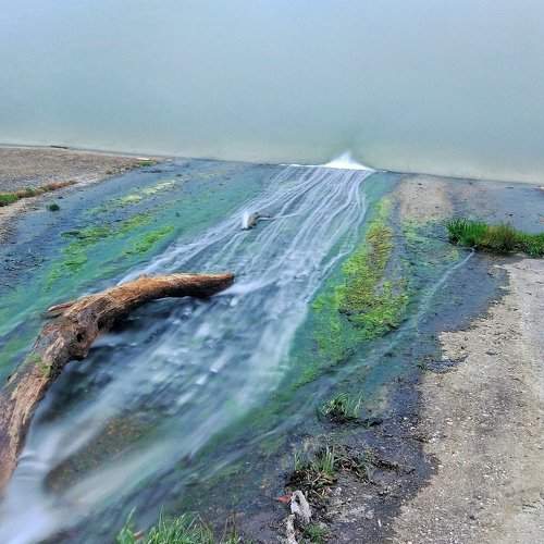 Photo #2383159