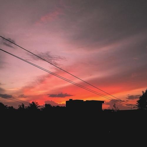 Tame the day