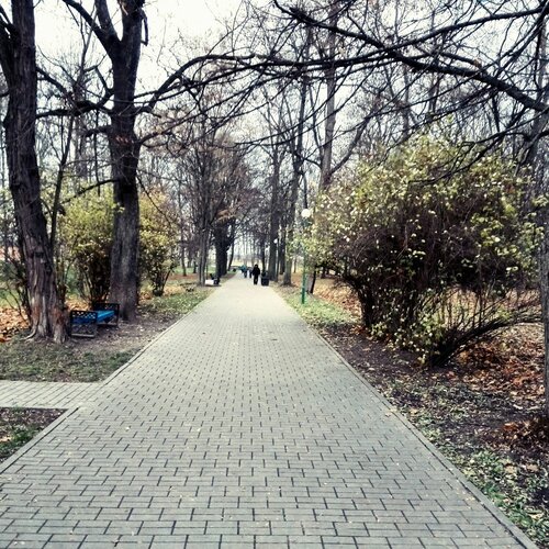 Photo #2383729