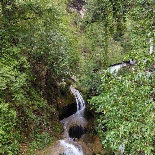 nature