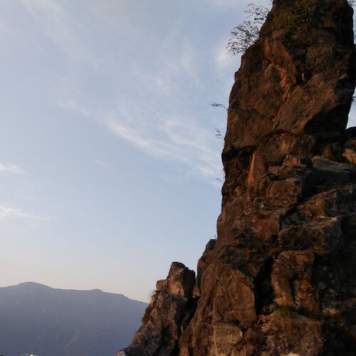 nature