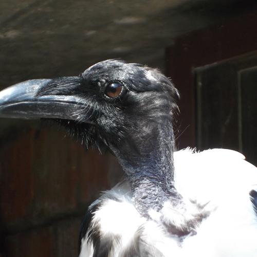 Photo #2384198