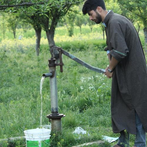Watering the hopes.
