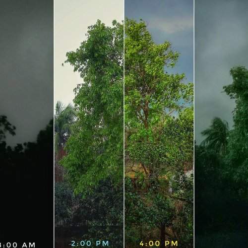 Different time subject same