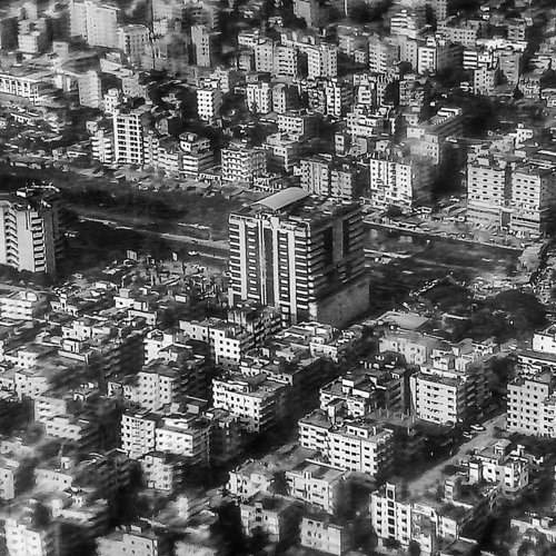 Bird's eye