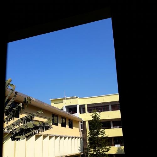 Through the window