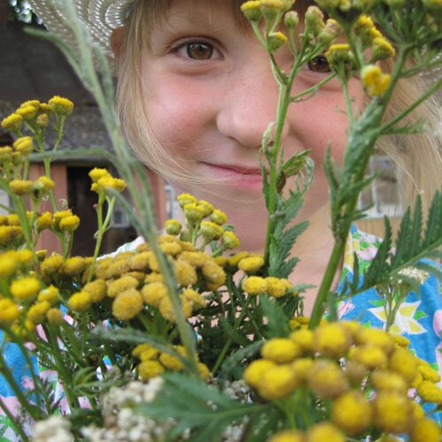 Photo #2387051