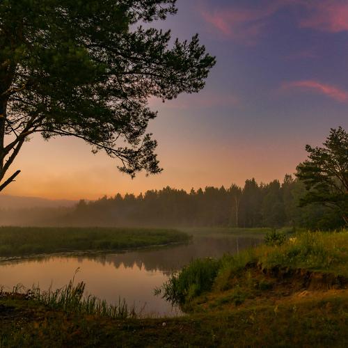 Вечерняя идиллия