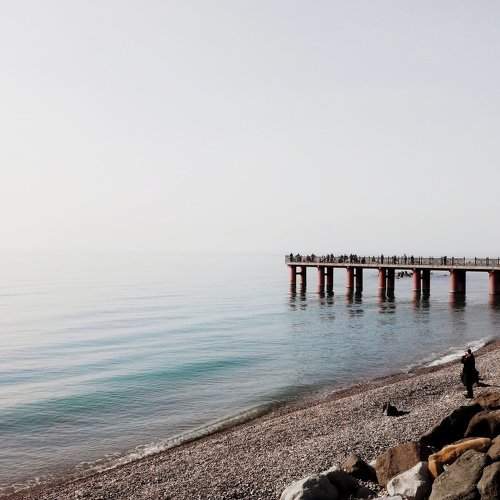 Brighton Dream