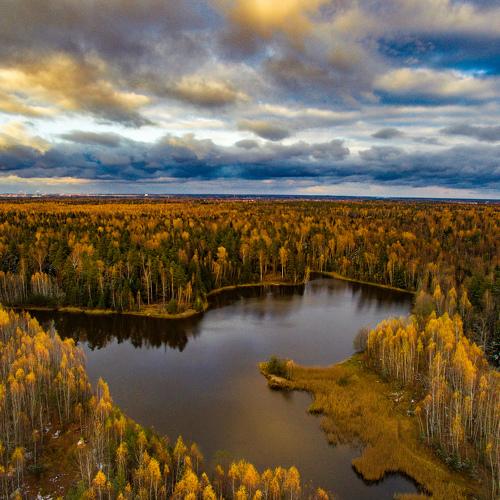 Photo #2388381