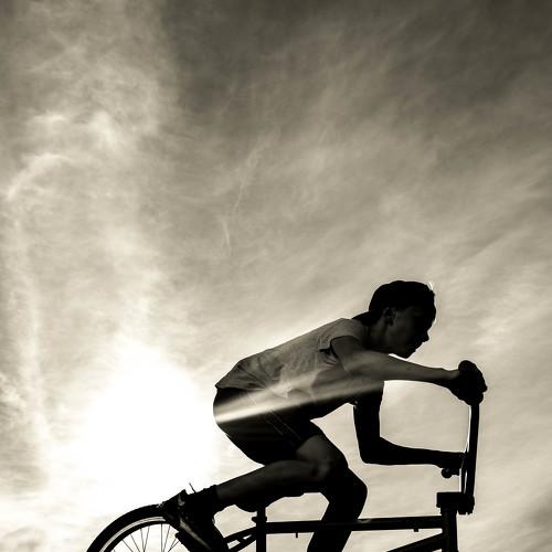 Photo #2389336