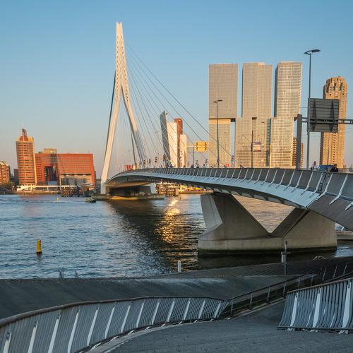 The Erasmus bridge in the late afternoon