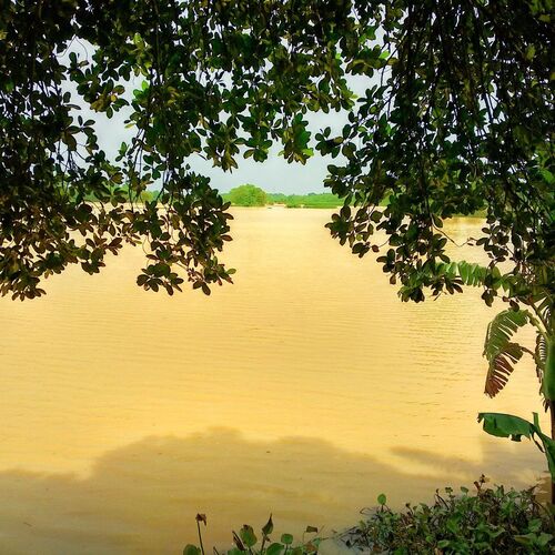 Flood