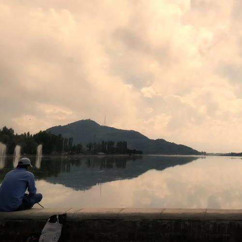 Searching for reflections.