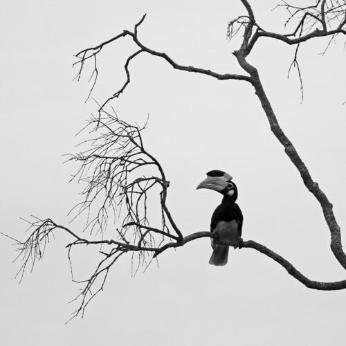 Alone