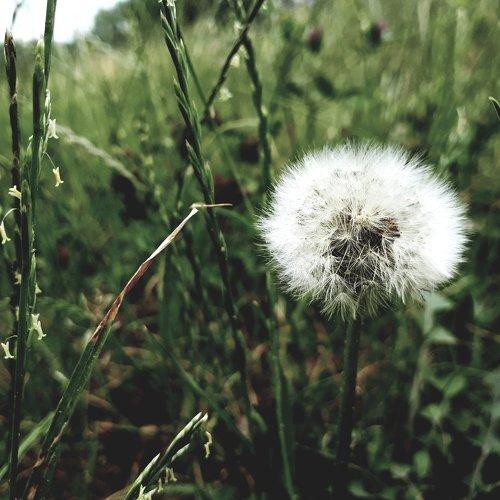 Photo #2393316