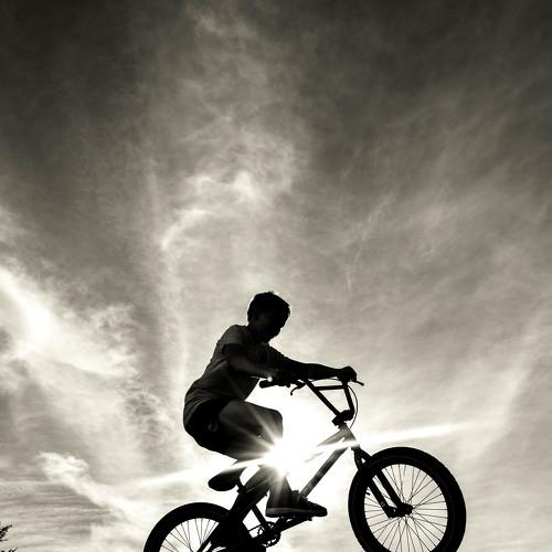 Photo #2394204