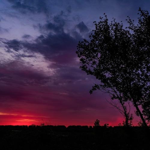 Photo #2394532