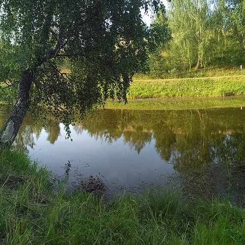 на утренней зорьке