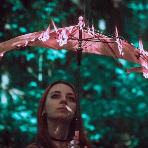 Photo #2395273