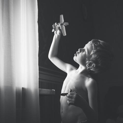 Photo #2395841