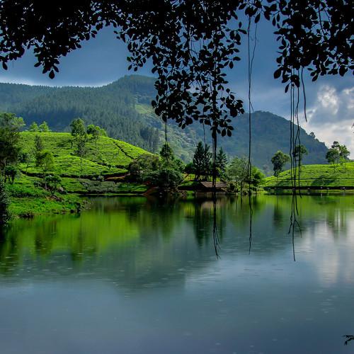 Tranquillity