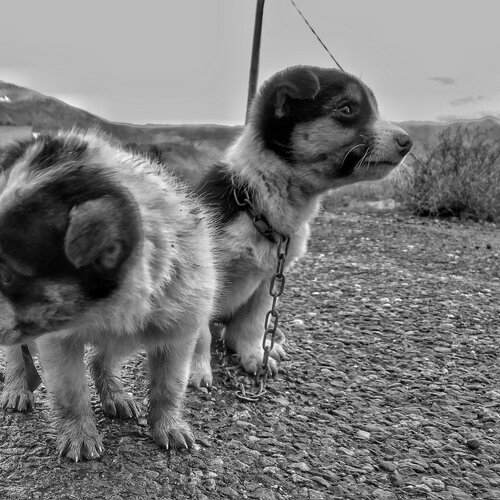 Photo #2397411