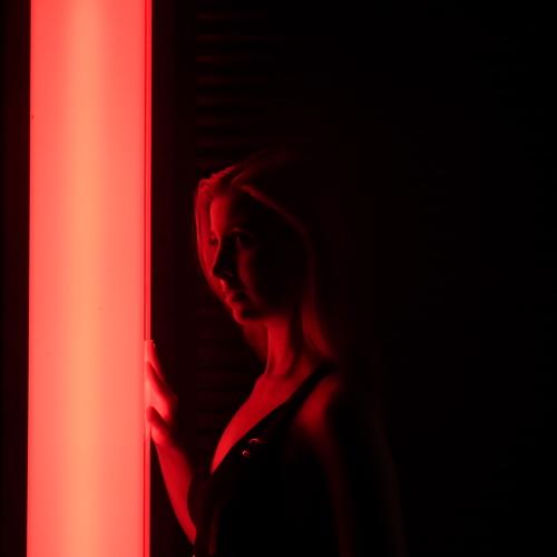 Photo #2398643