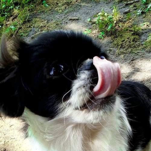 Photo #2398687