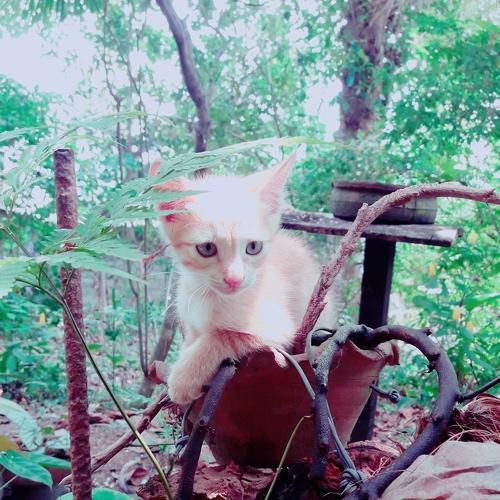 Little cutie