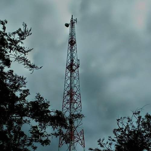 Photo #2399066
