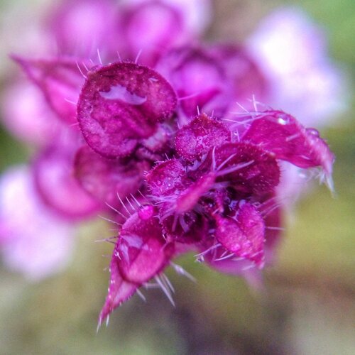 Photo #2399358