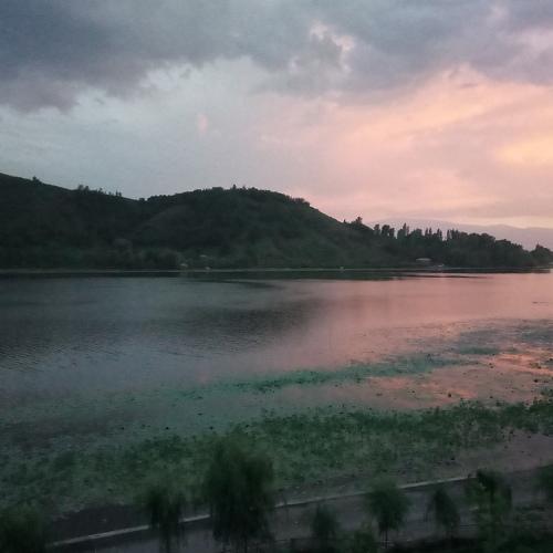 Jaroka Bagh
