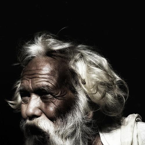 Yogi