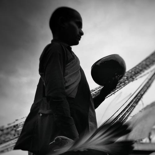 Monk and a bird
