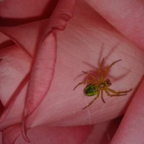 Photo #2403209